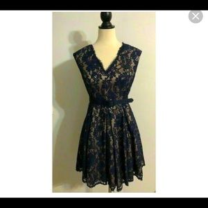 Eliza J lace dress Navy